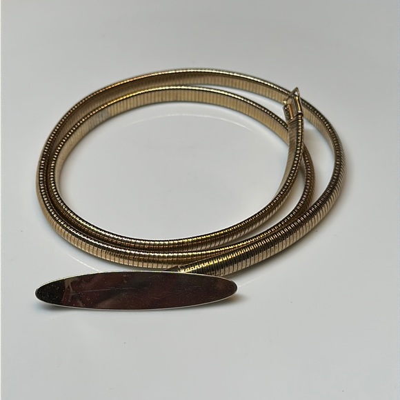 Vintage Accessories - 5/25$ Vintage chain belt stretchy Snake Chain Brushed Gold Belt